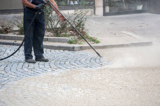 Trusted Crystal Lawns, IL Pressure Washing Services Experts