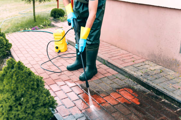 Animal Enclosure Cleaning in Crystal Lawns, IL